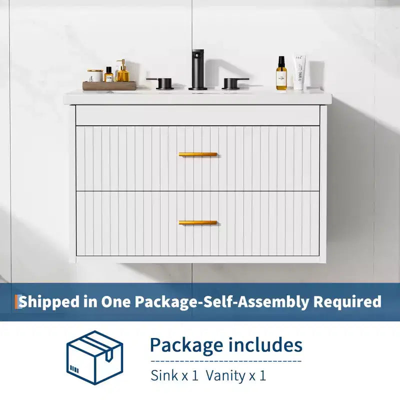 Wall Mounted Bathroom Vanity with Ceramic Sink and 2 Storage Drawers